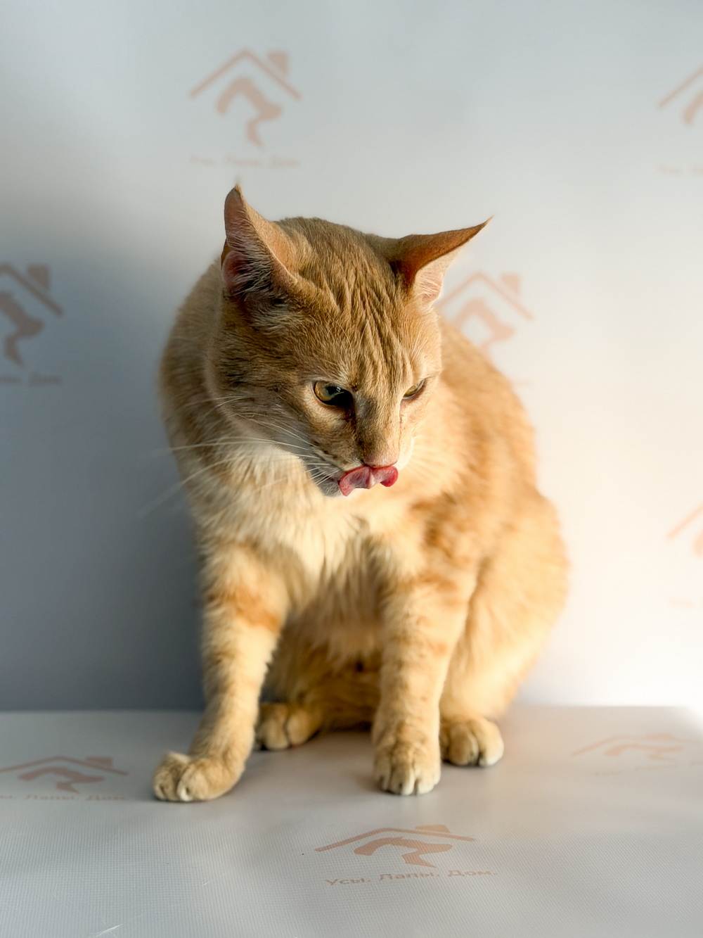 ph: Ирина Никифорова