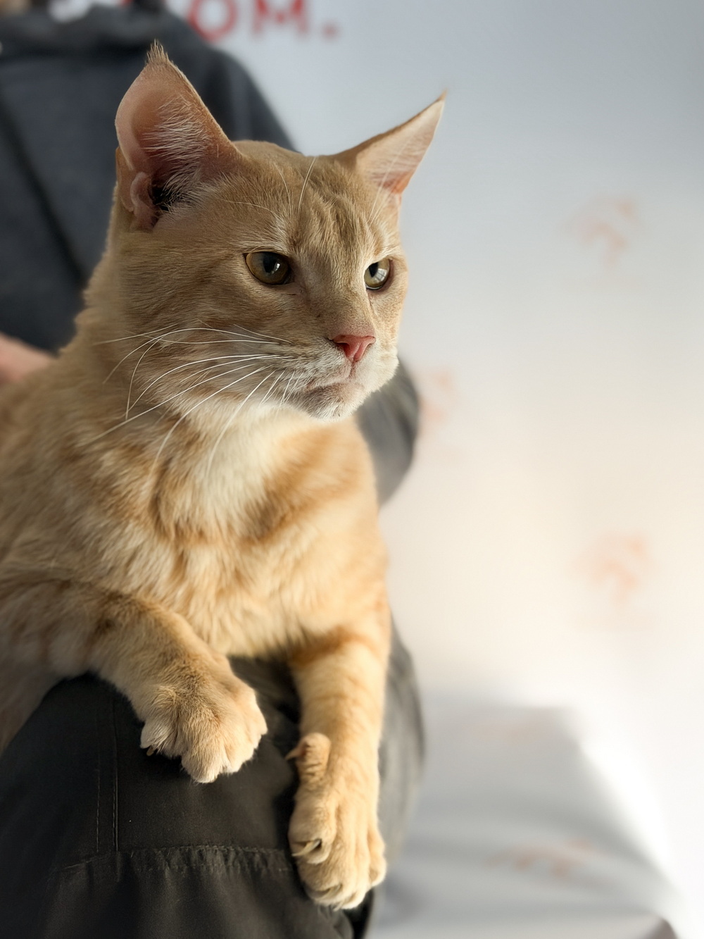 ph: Ирина Никифорова