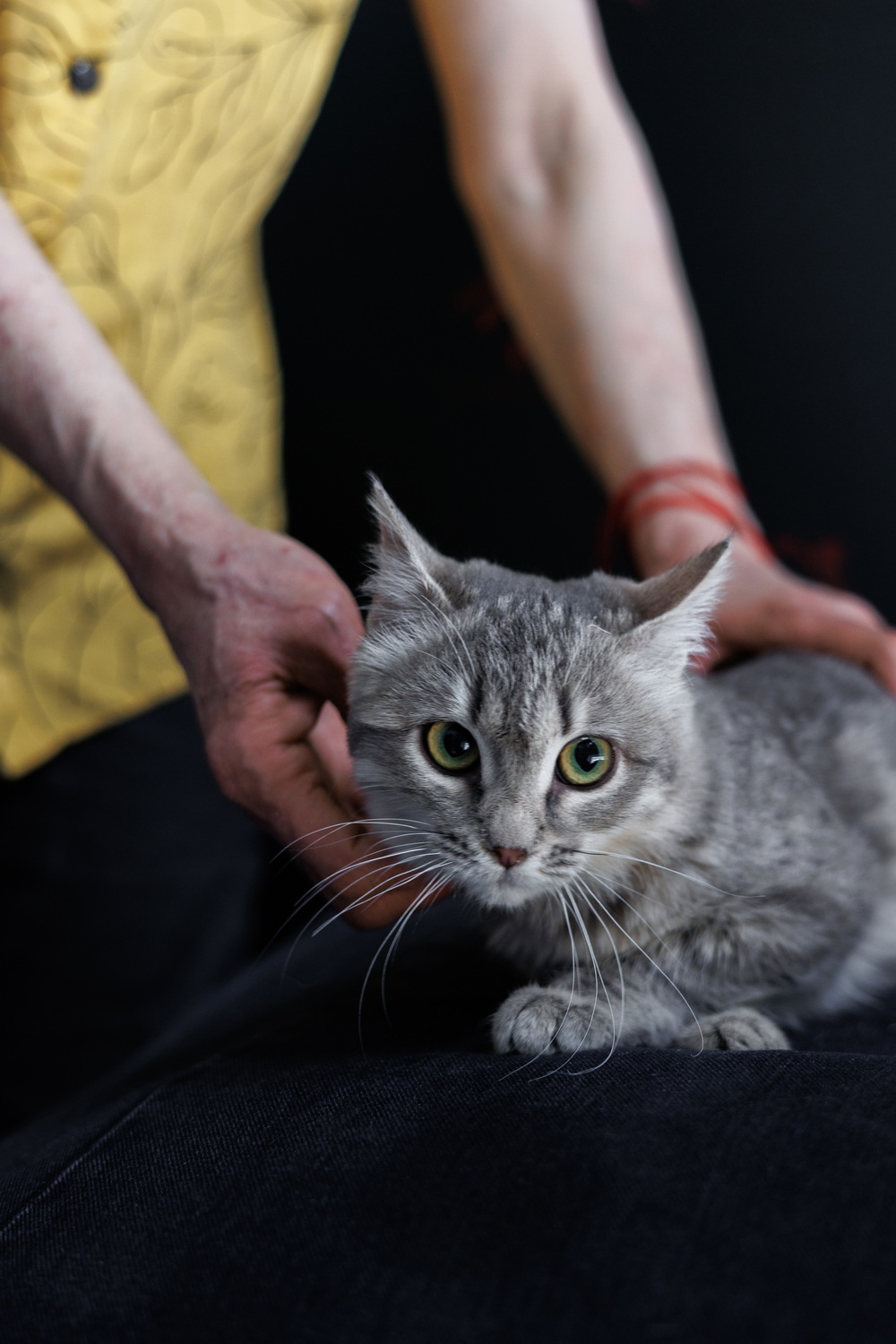 ph: Елена Тимофеева