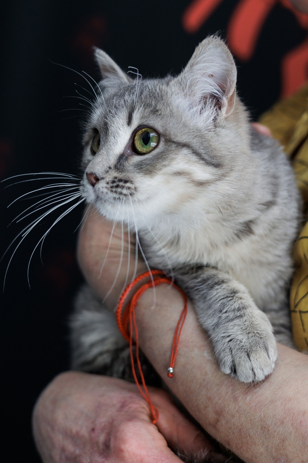 ph: Елена Тимофеева