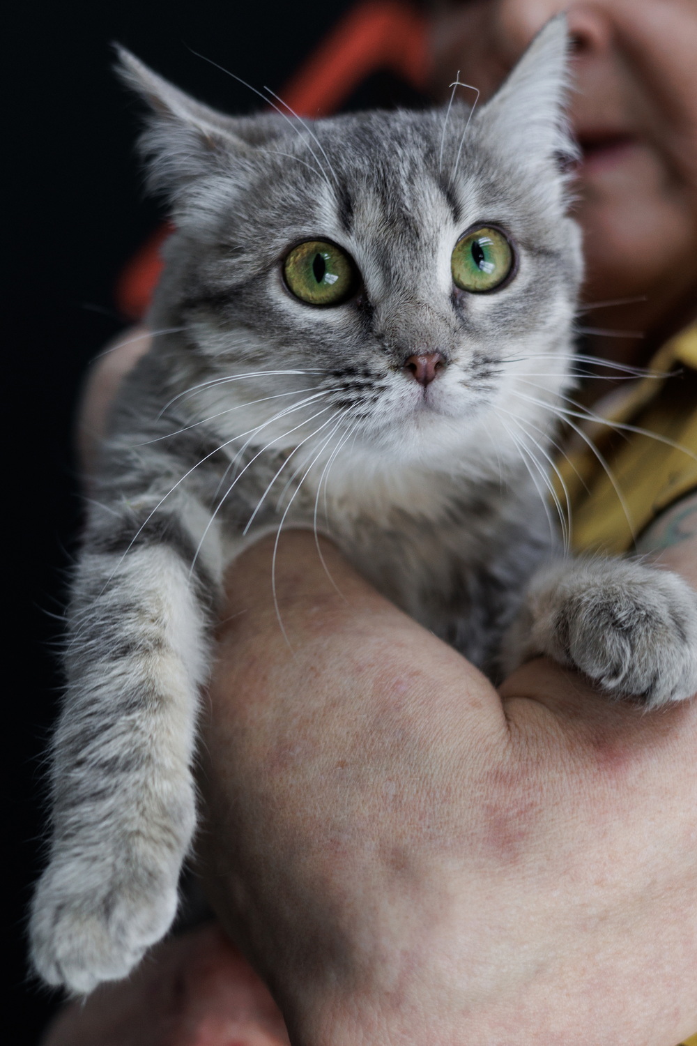 ph: Елена Тимофеева