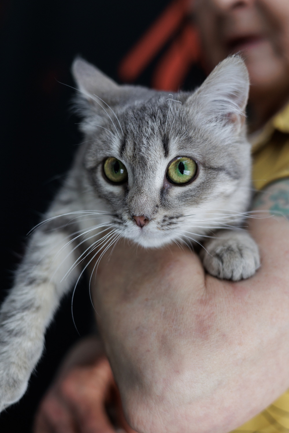 ph: Елена Тимофеева