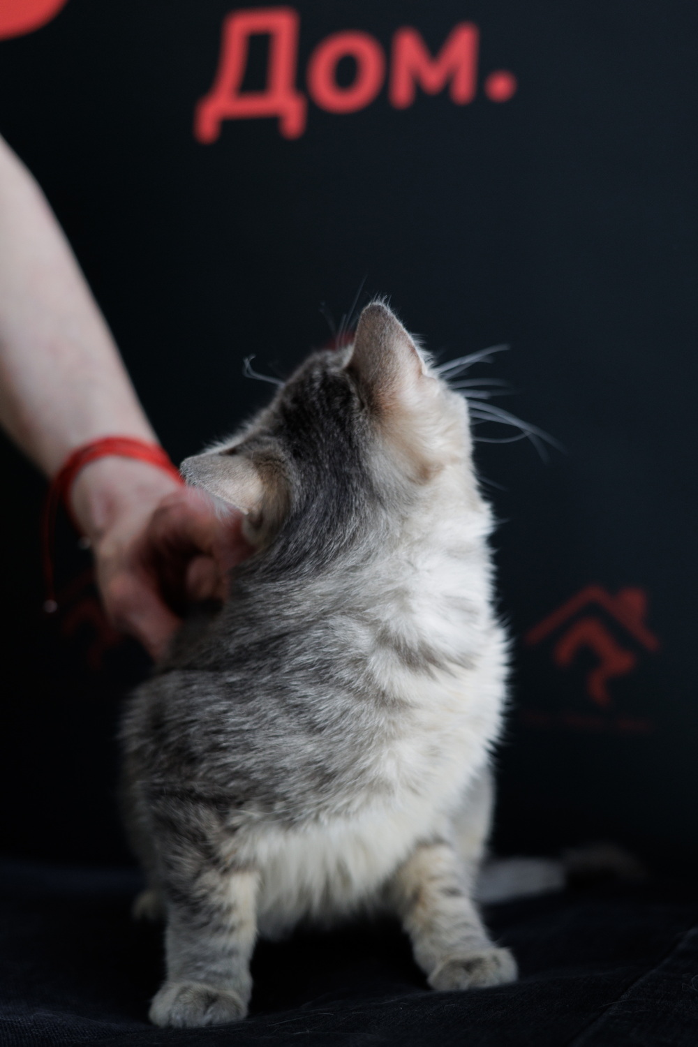 ph: Елена Тимофеева