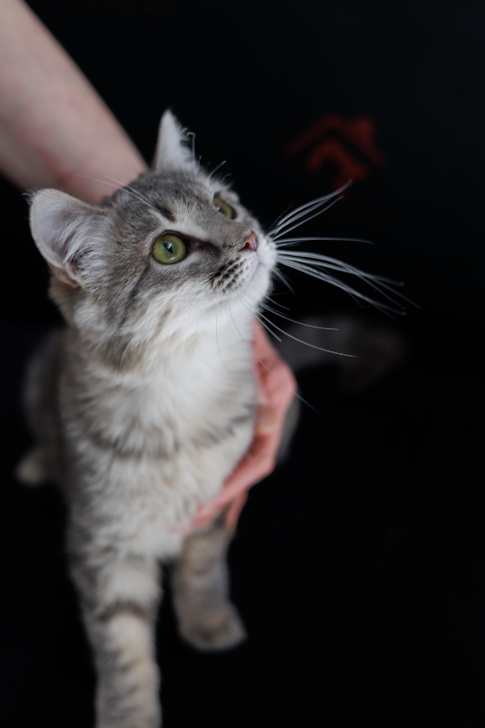 ph: Елена Тимофеева