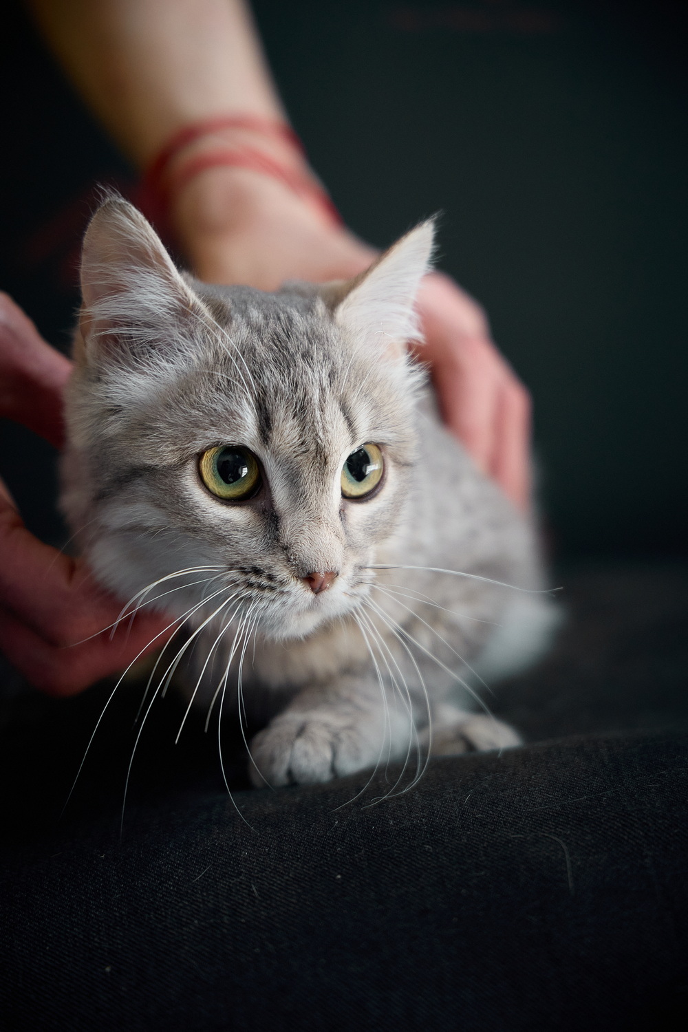 ph: Николай Коба