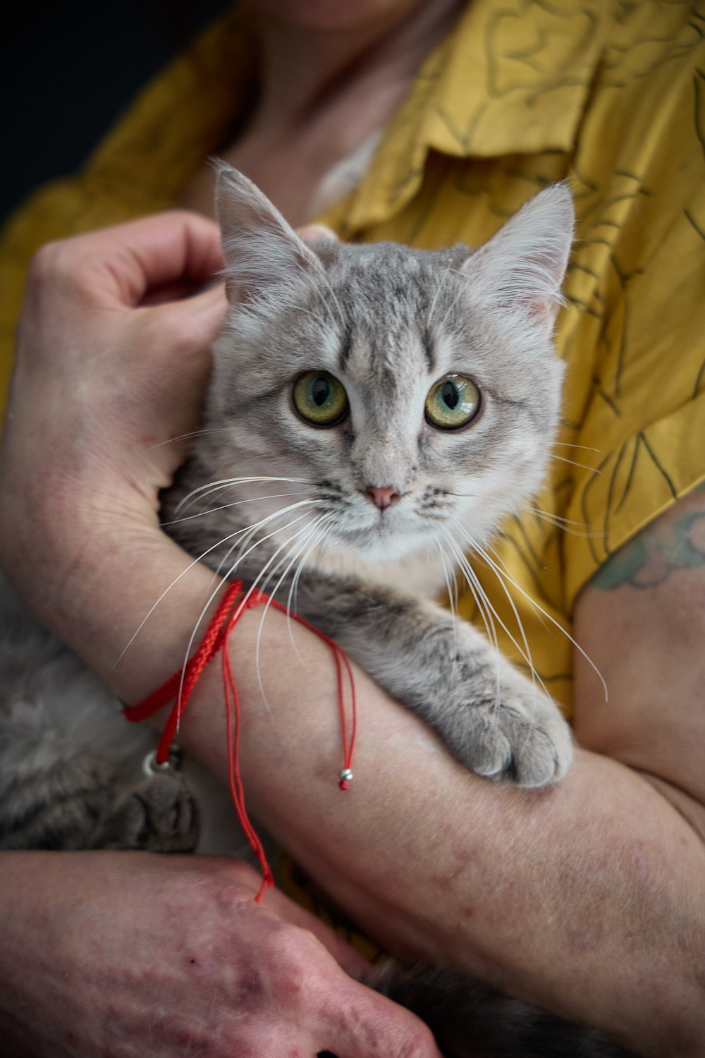 ph: Николай Коба