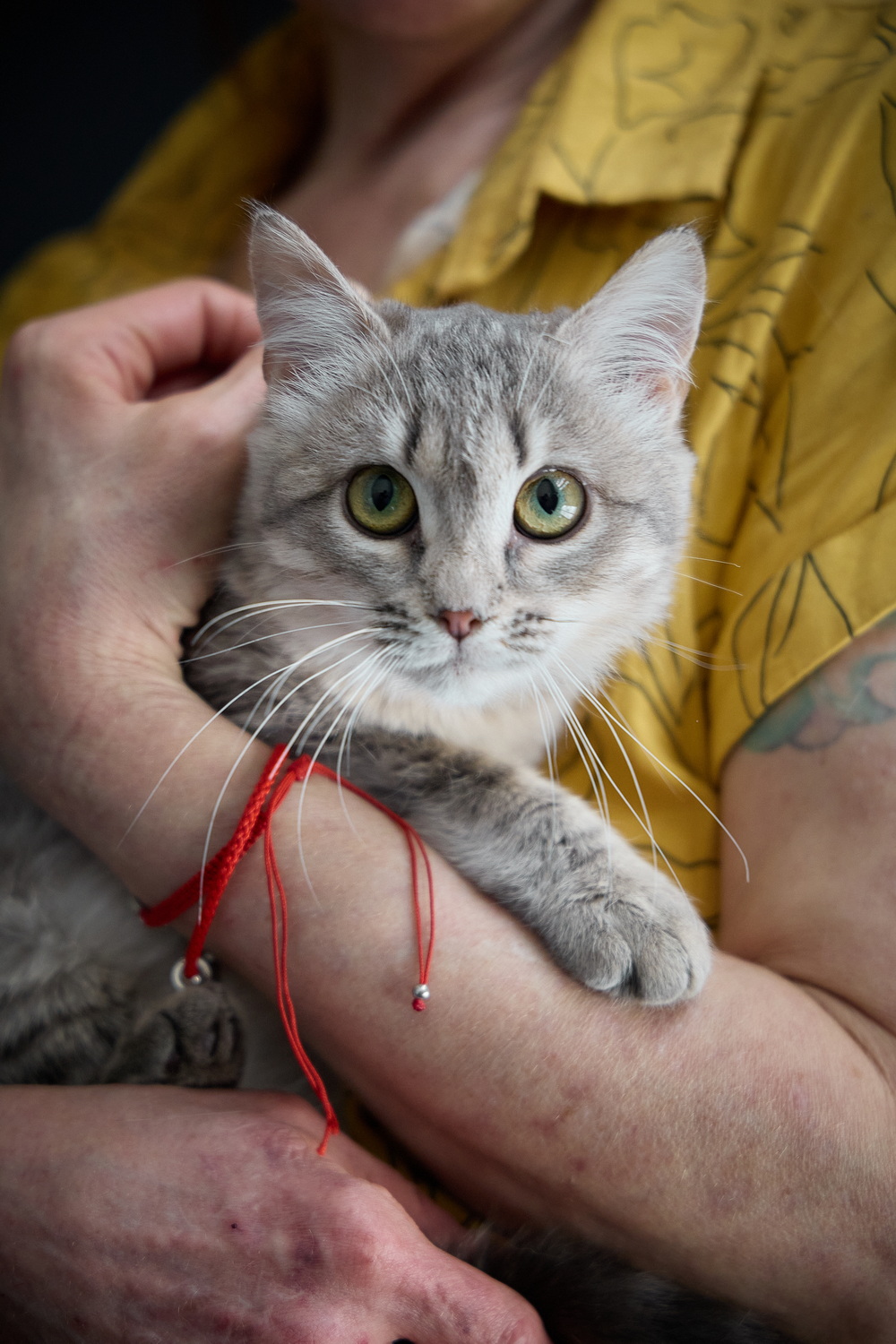 ph: Николай Коба