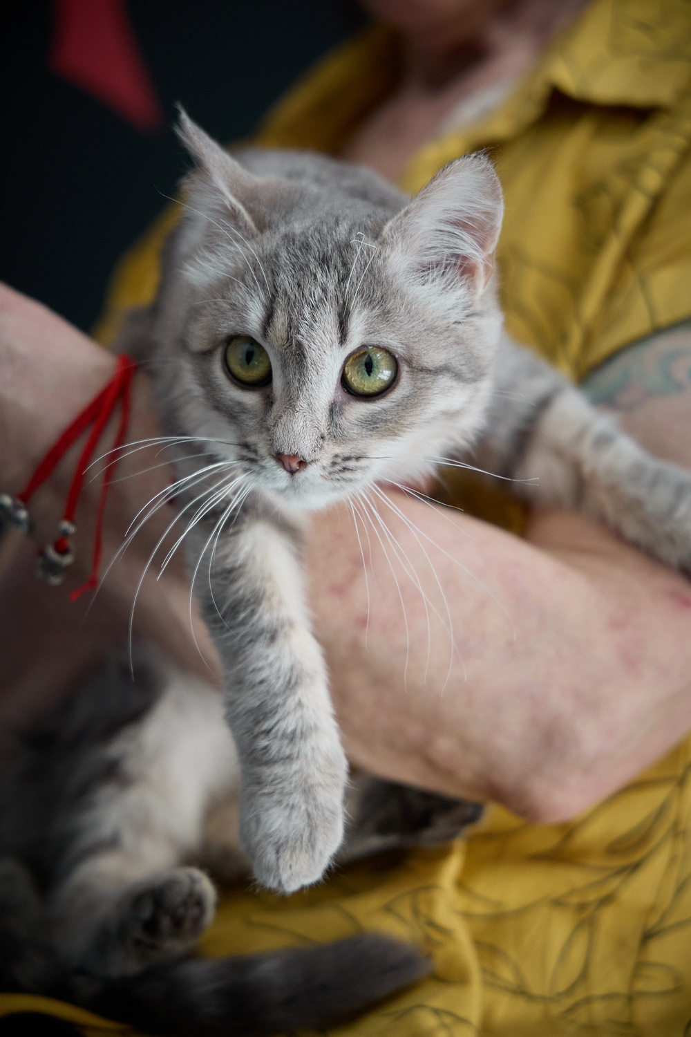 ph: Николай Коба