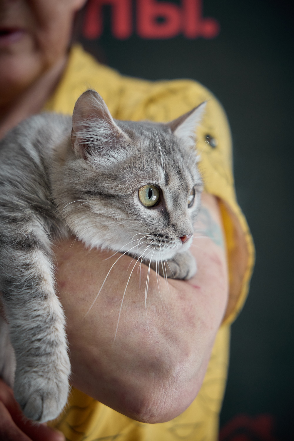 ph: Николай Коба