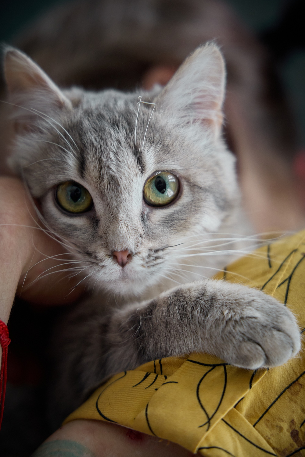 ph: Николай Коба