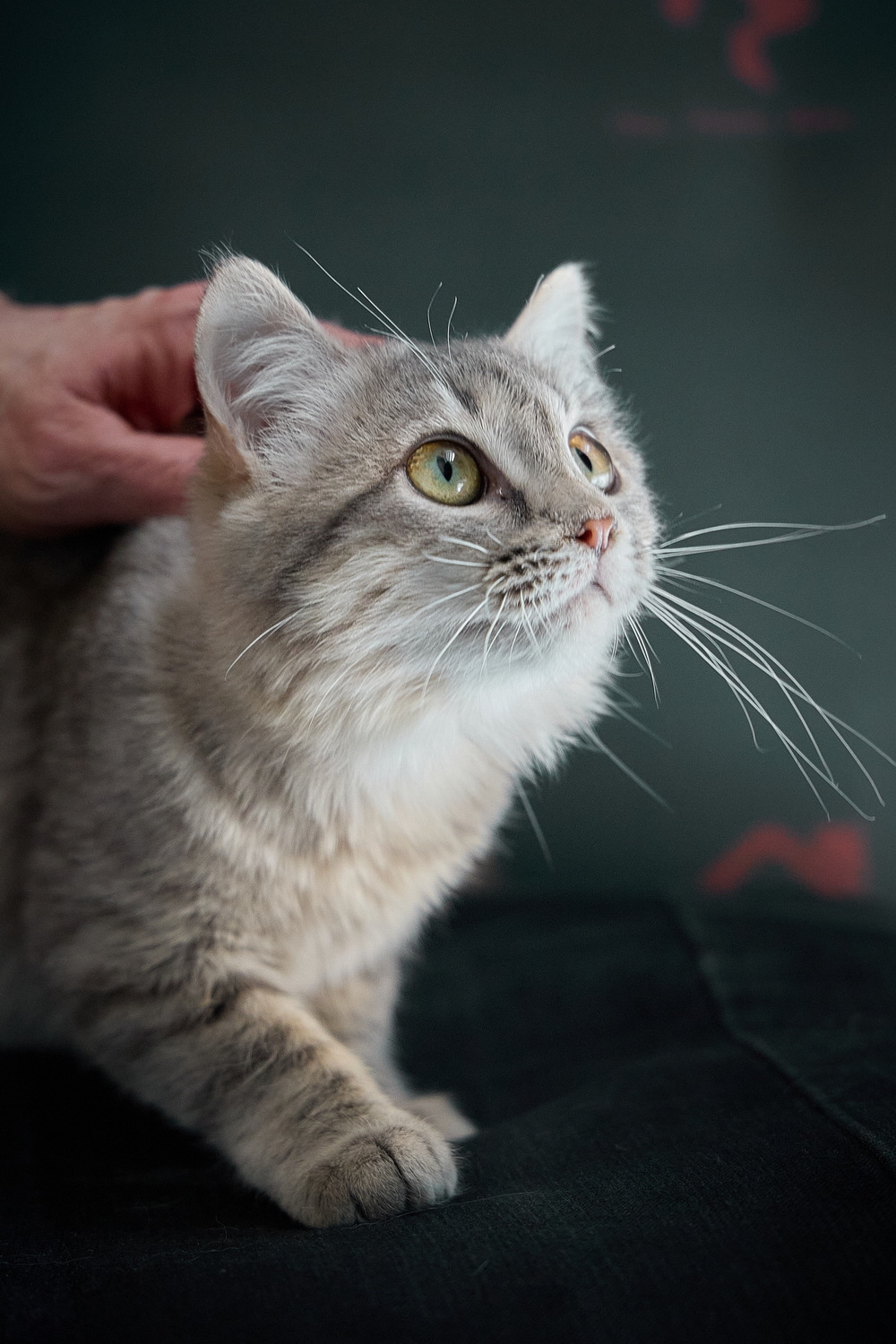 ph: Николай Коба