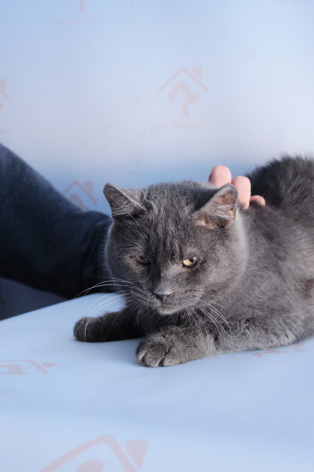 ph: Диана Стафеева