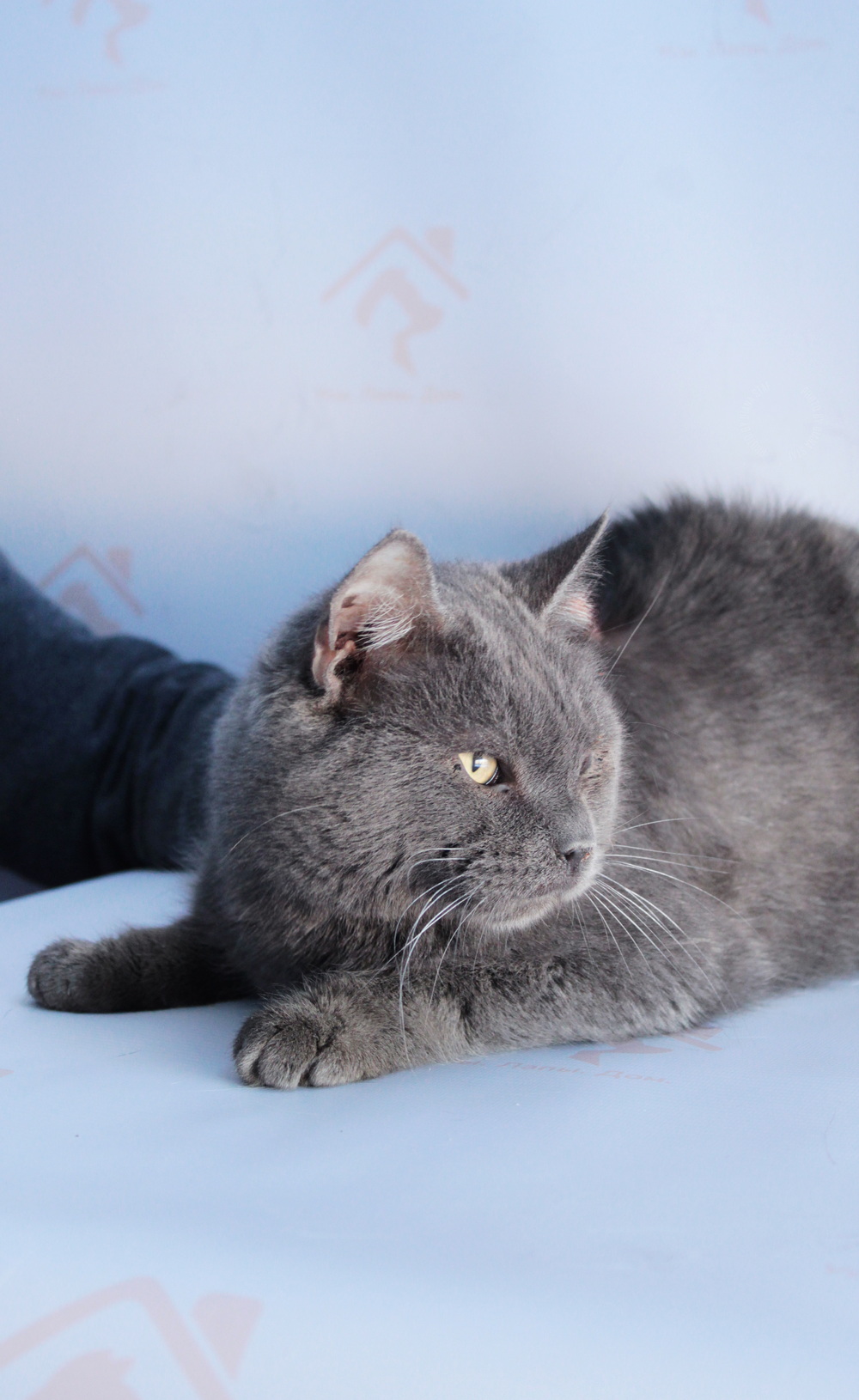 ph: Диана Стафеева