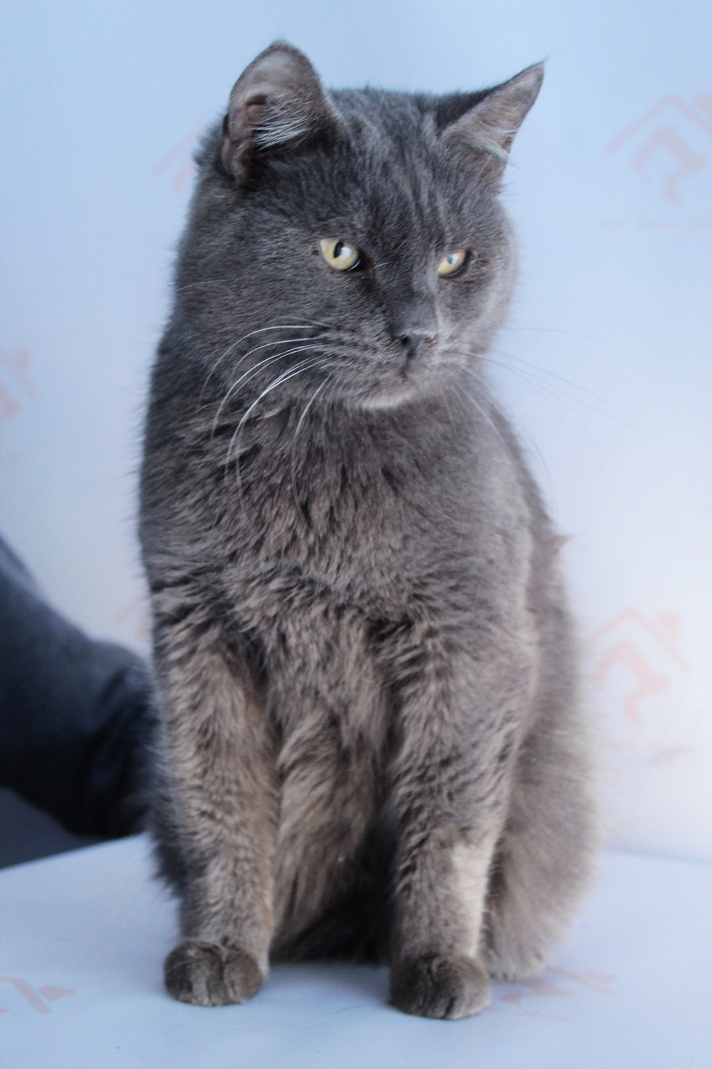 ph: Диана Стафеева