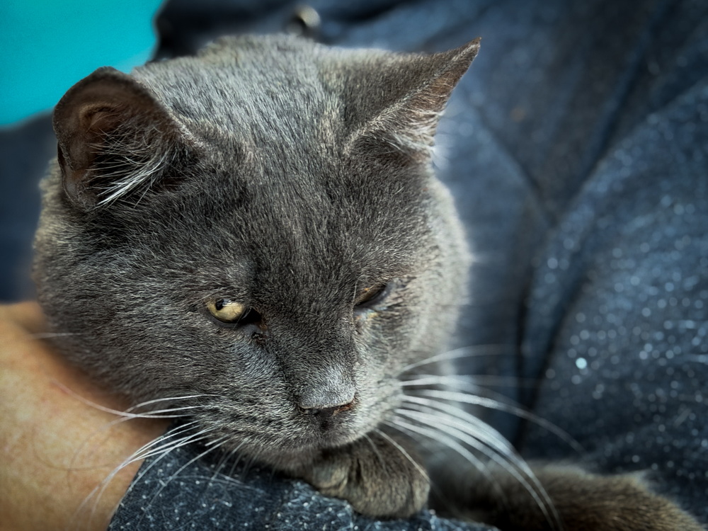 ph: Ирина Никифорова