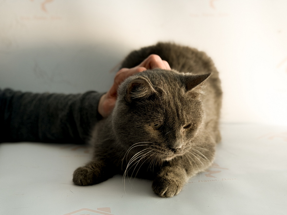 ph: Ирина Никифорова