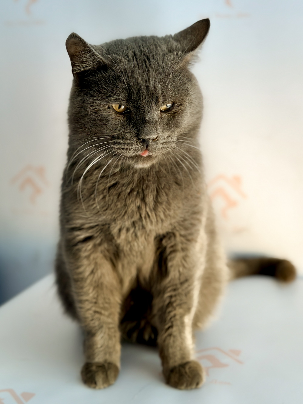 ph: Ирина Никифорова