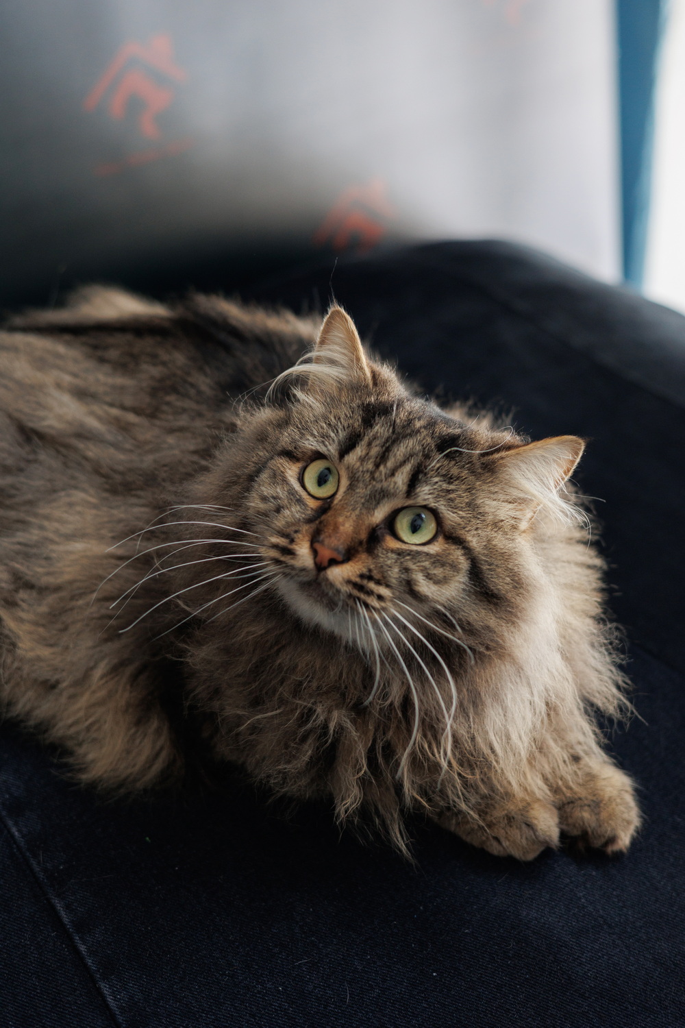 ph: Елена Тимофеева