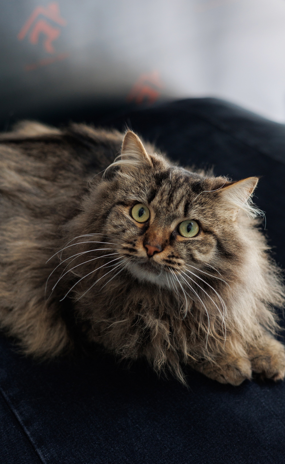 ph: Елена Тимофеева