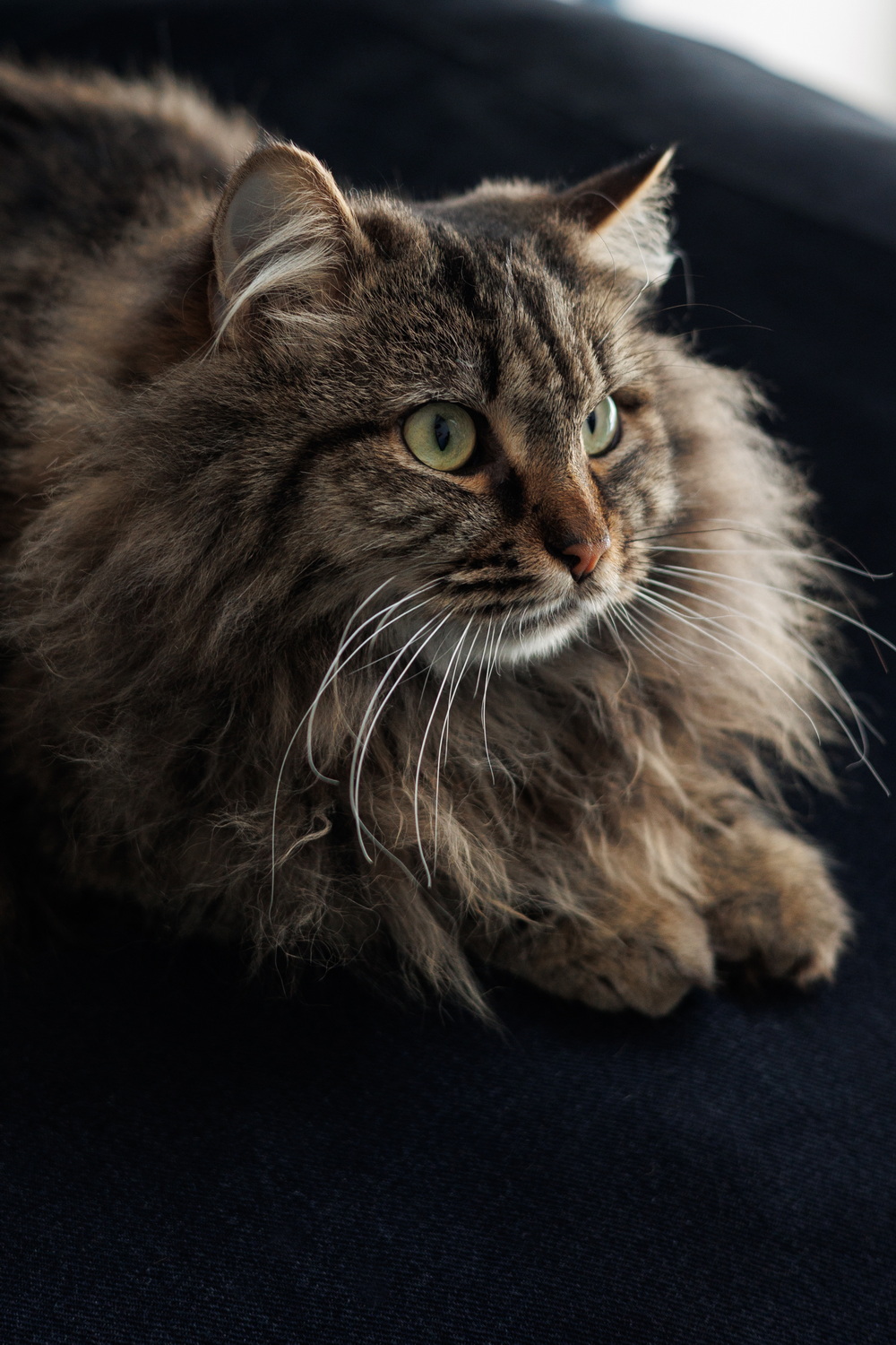 ph: Елена Тимофеева