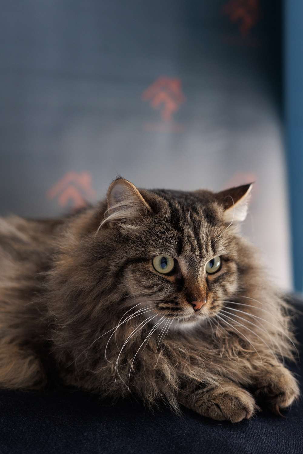 ph: Елена Тимофеева