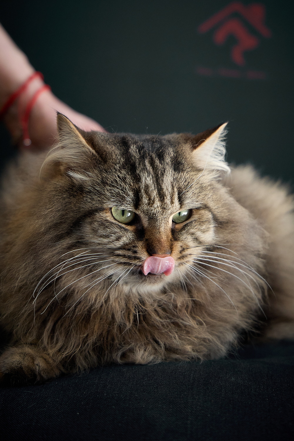 ph: Николай Коба