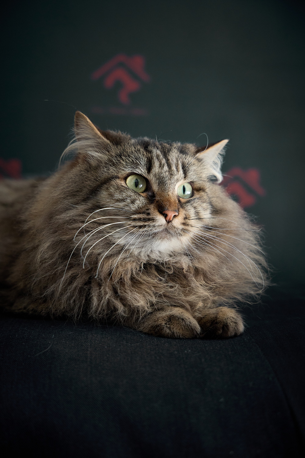 ph: Николай Коба