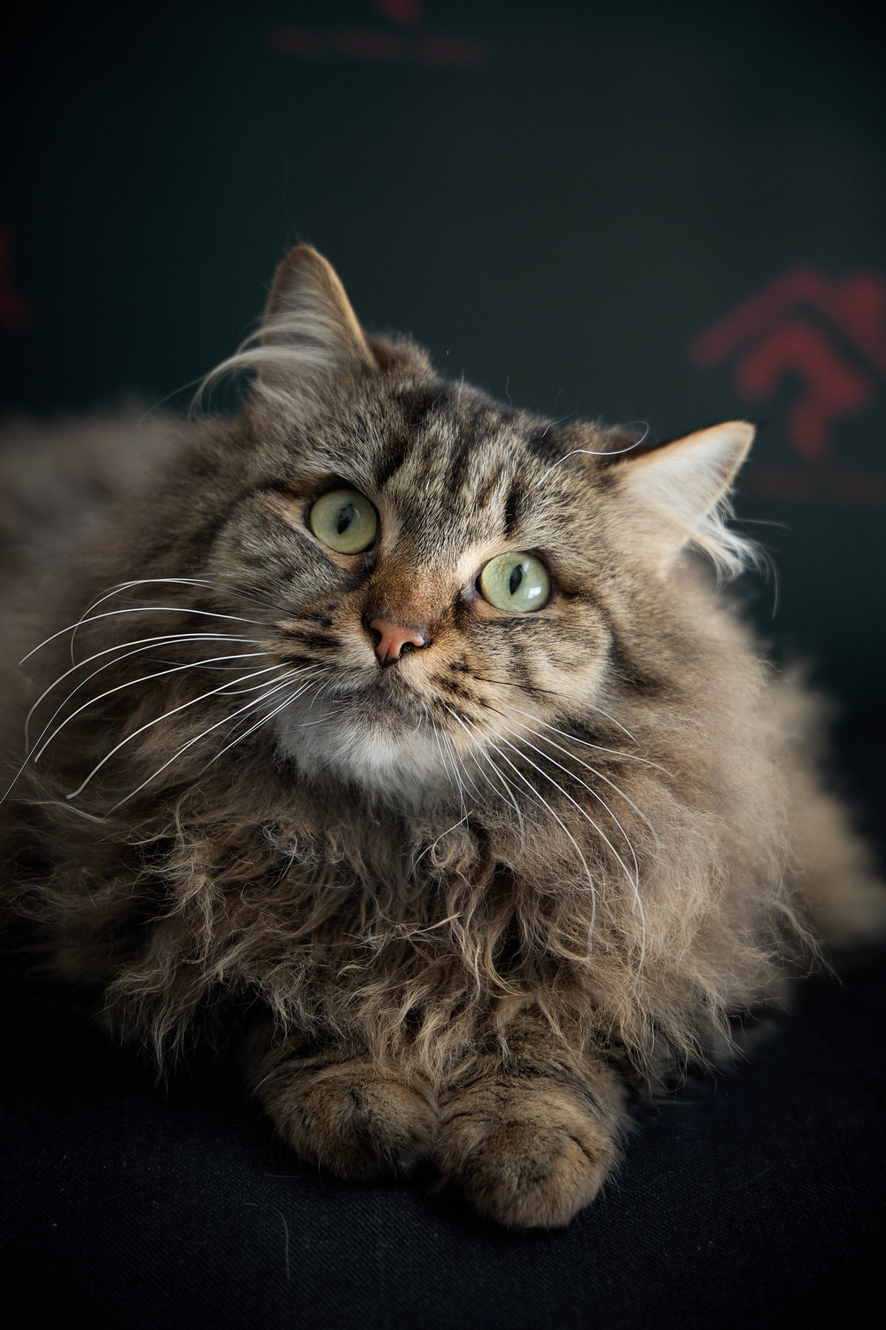 ph: Николай Коба