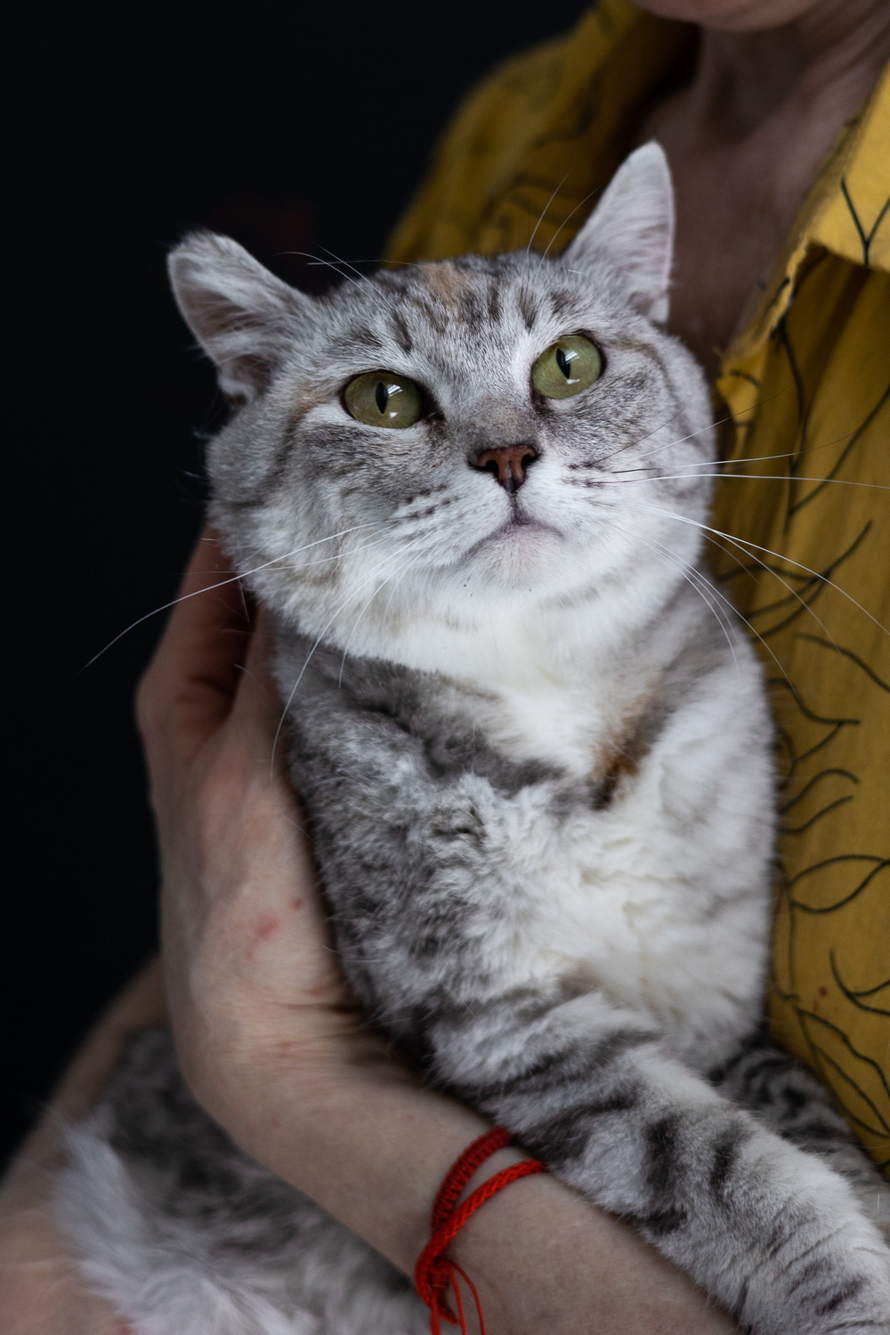 ph: Елена Тимофеева