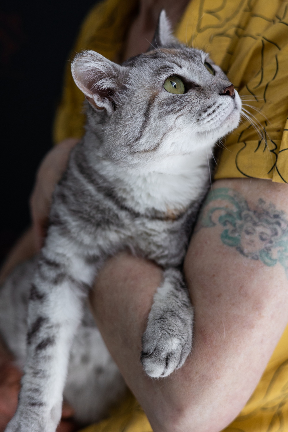 ph: Елена Тимофеева