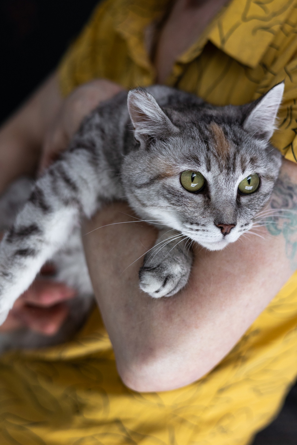 ph: Елена Тимофеева