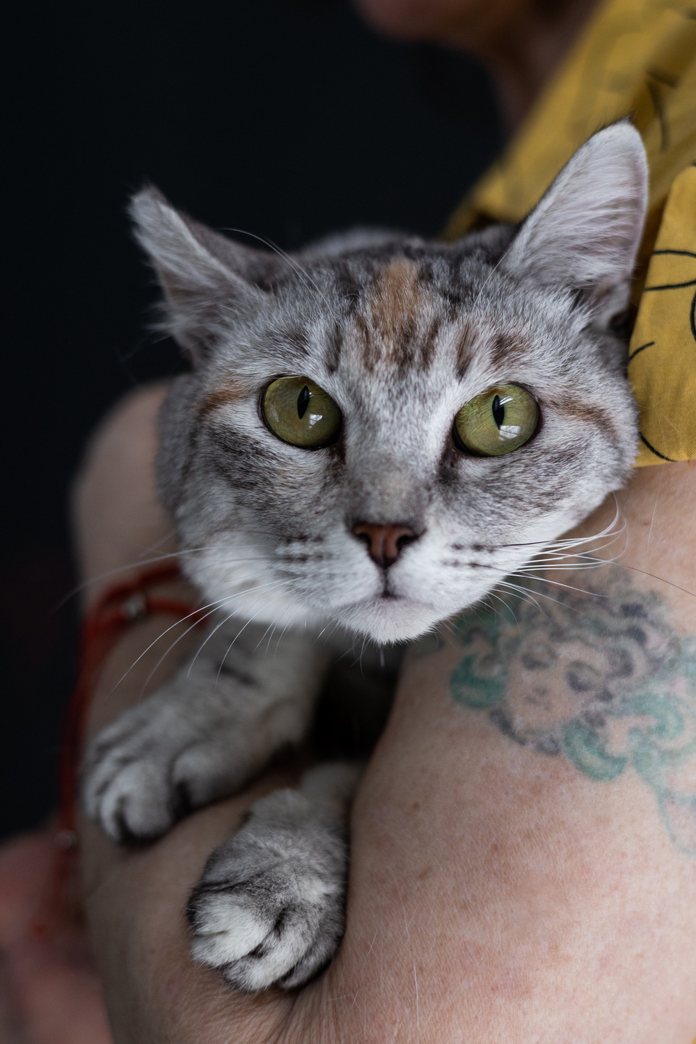 ph: Елена Тимофеева