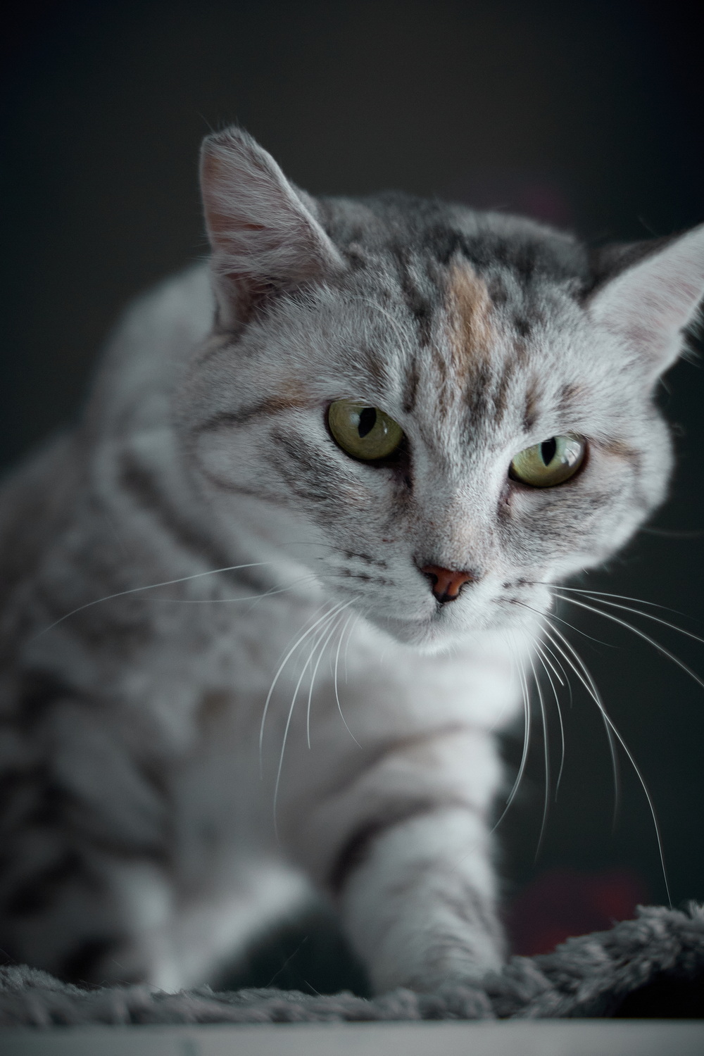 ph: Николай Коба