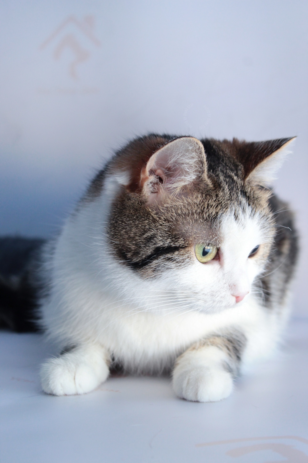 ph: Диана Стафеева