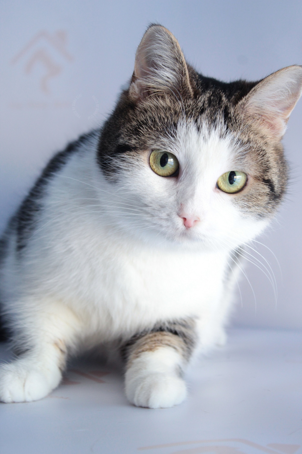 ph: Диана Стафеева