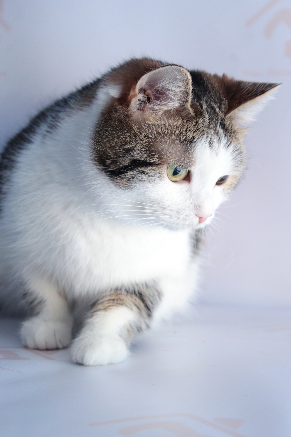 ph: Диана Стафеева