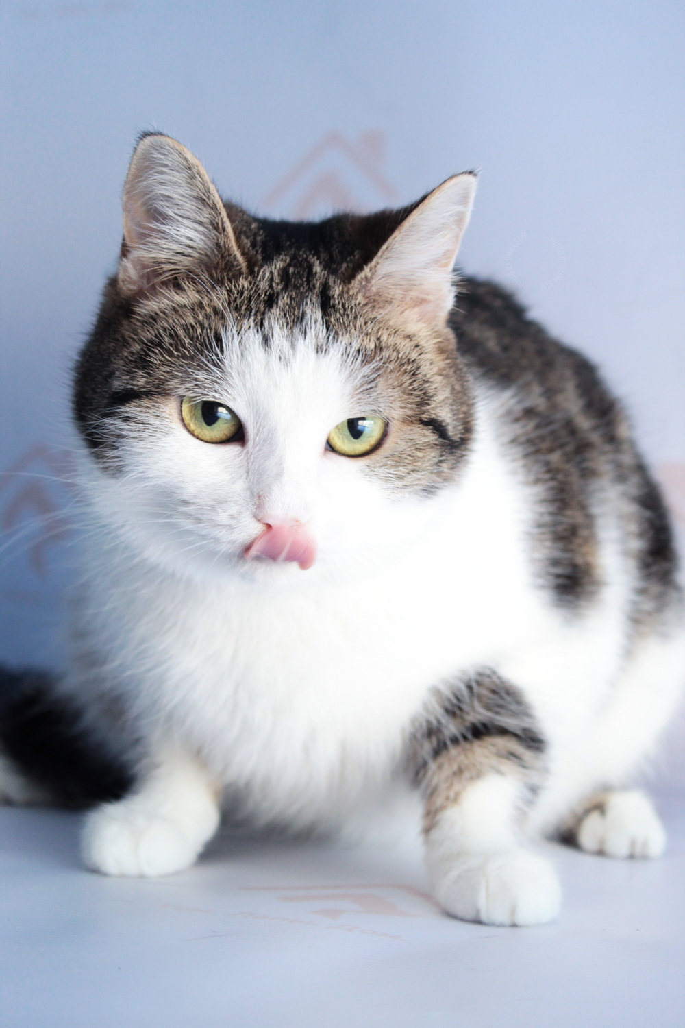 ph: Диана Стафеева