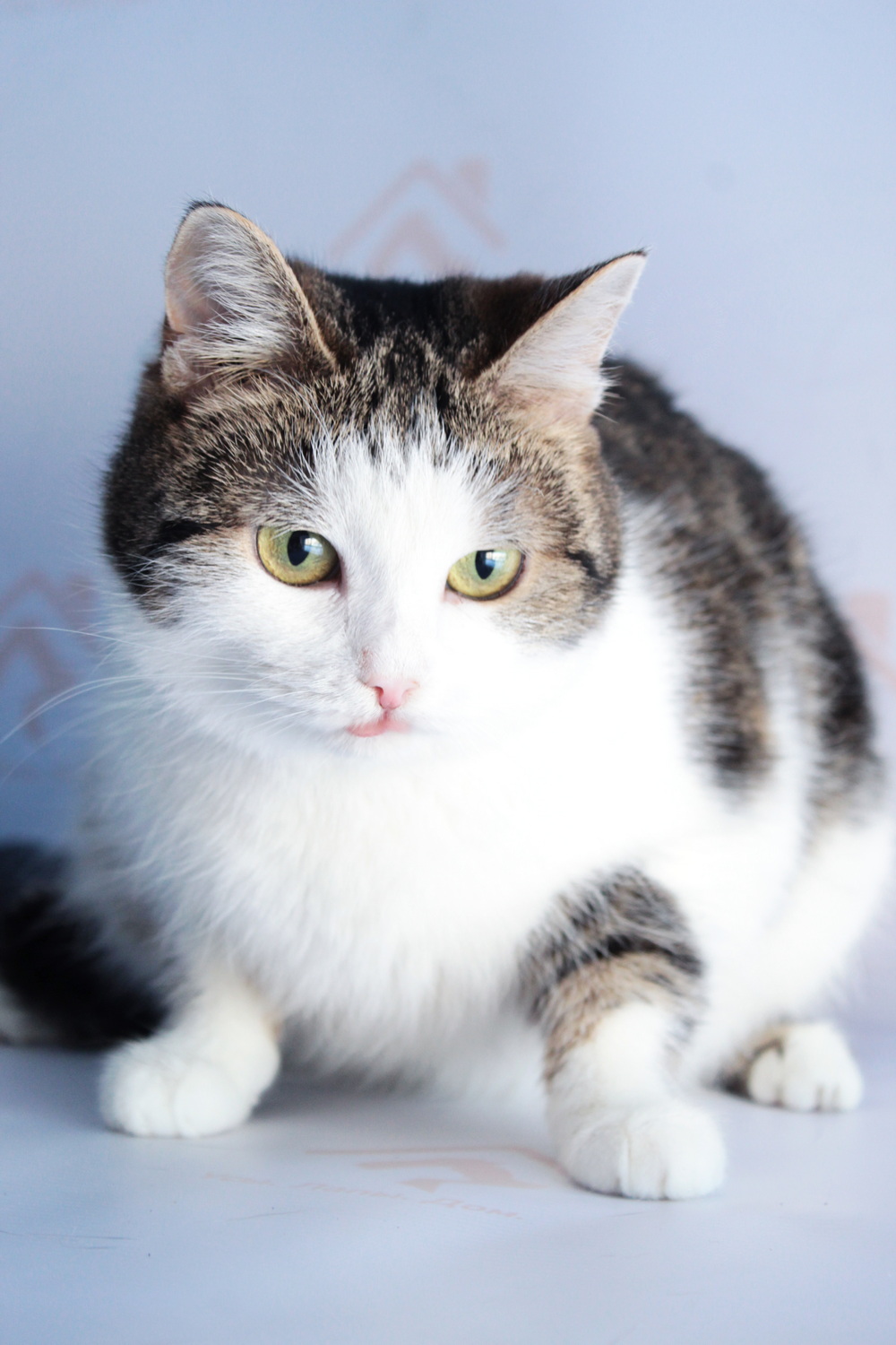 ph: Диана Стафеева