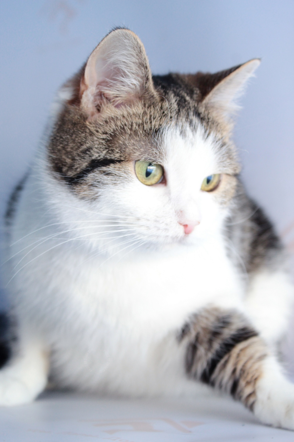 ph: Диана Стафеева