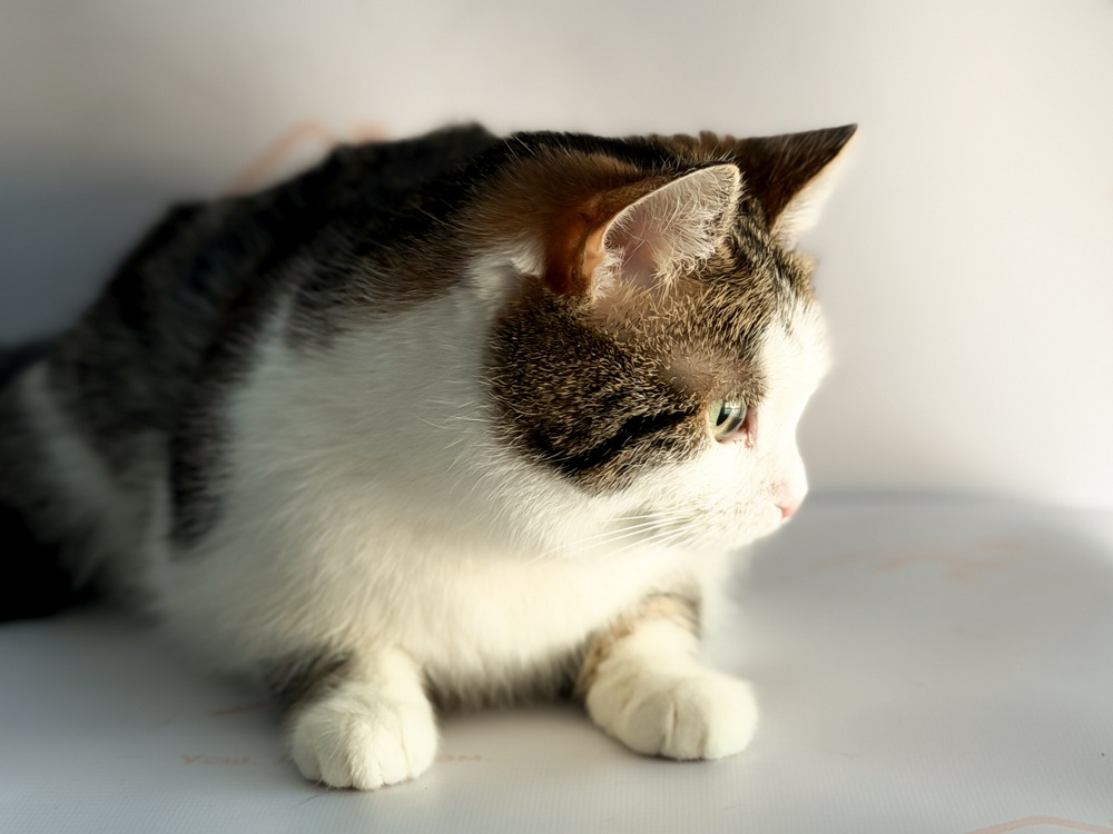 ph: Ирина Никифорова