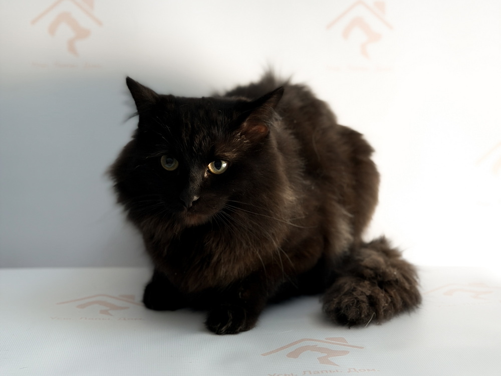 ph: Ирина Никифорова