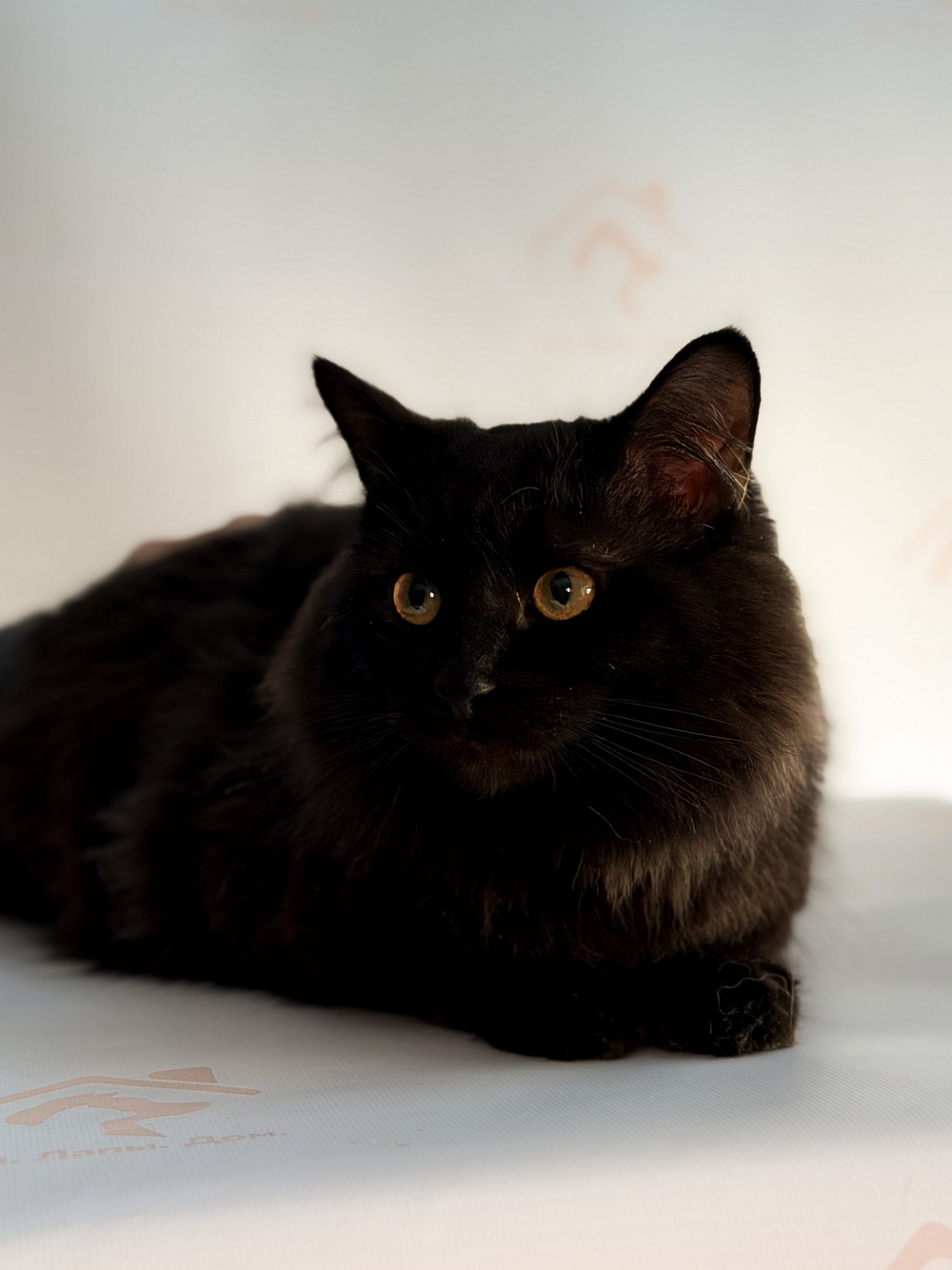 ph: Ирина Никифорова