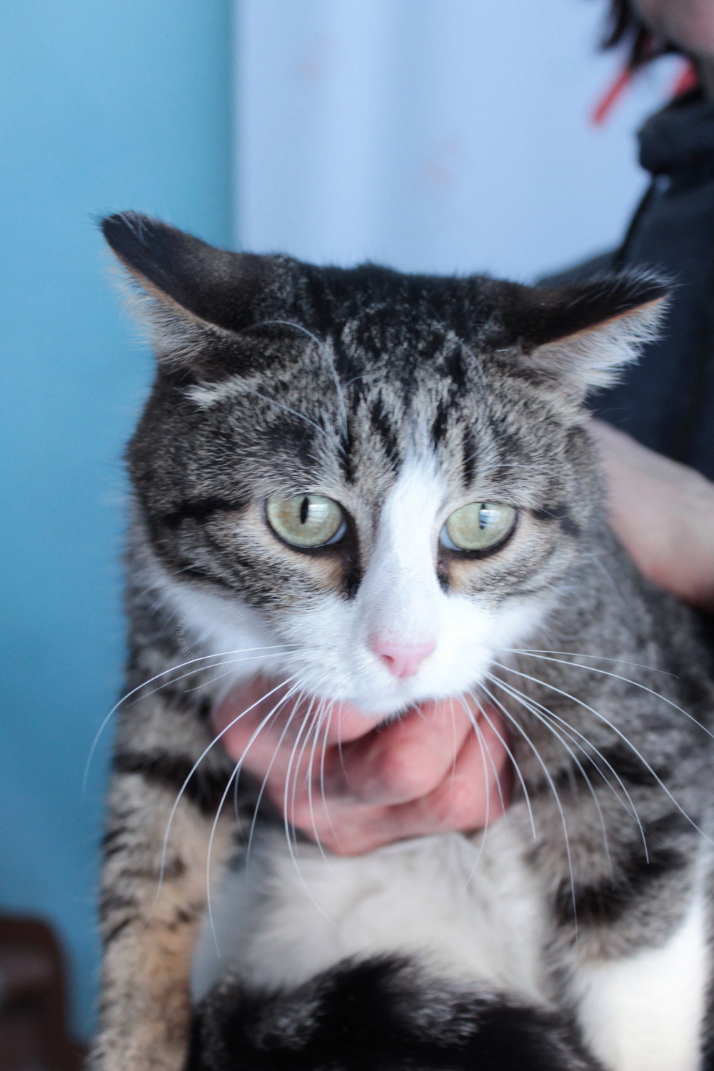 ph: Диана Стафеева