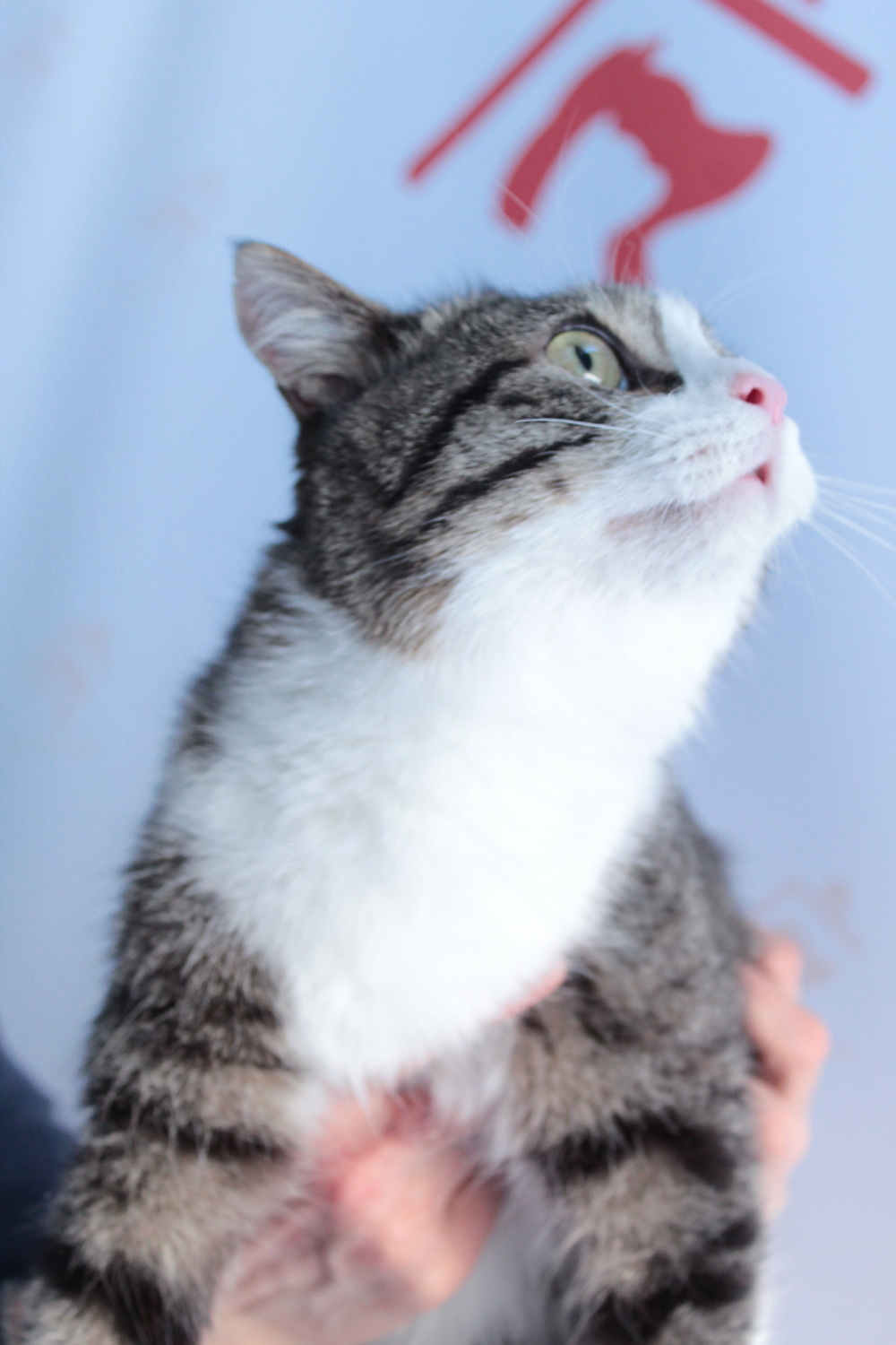 ph: Диана Стафеева