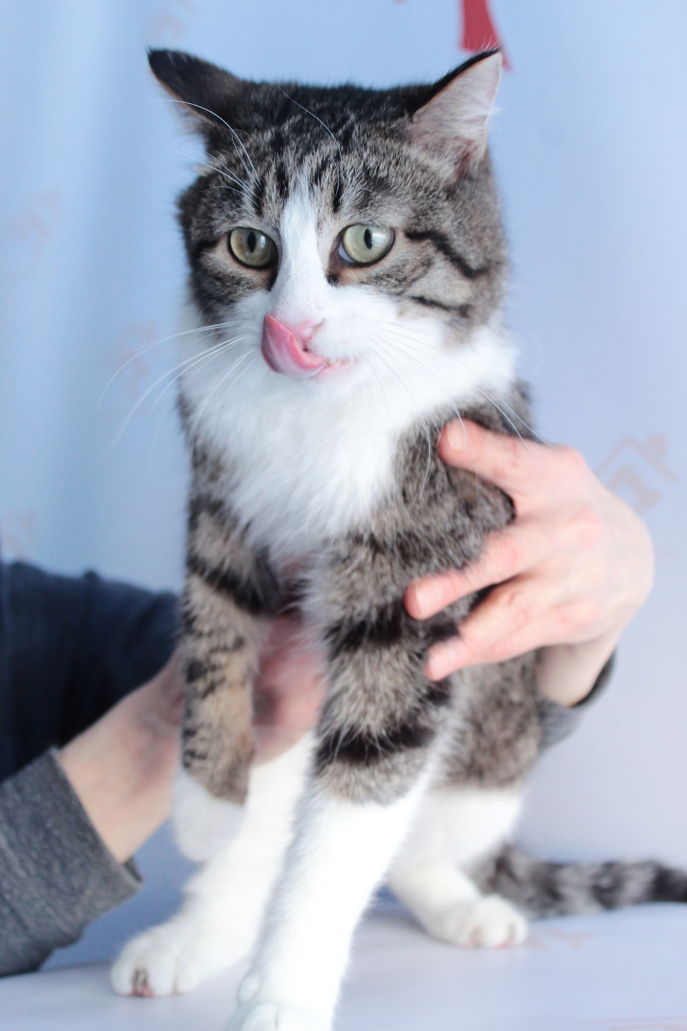 ph: Диана Стафеева