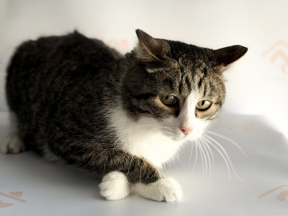 ph: Ирина Никифорова