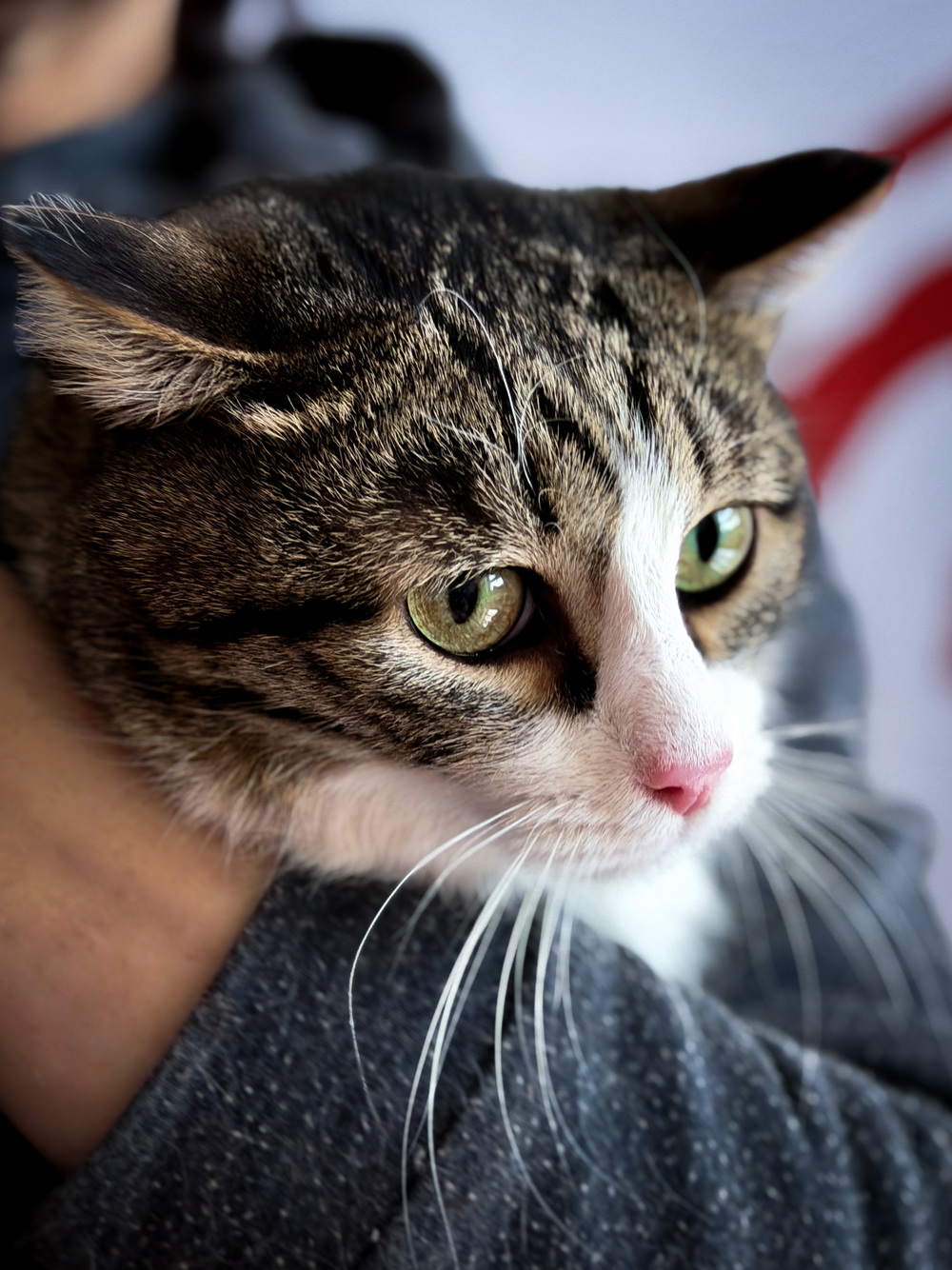 ph: Ирина Никифорова