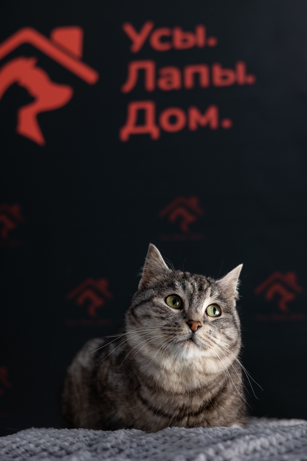 ph: Елена Тимофеева