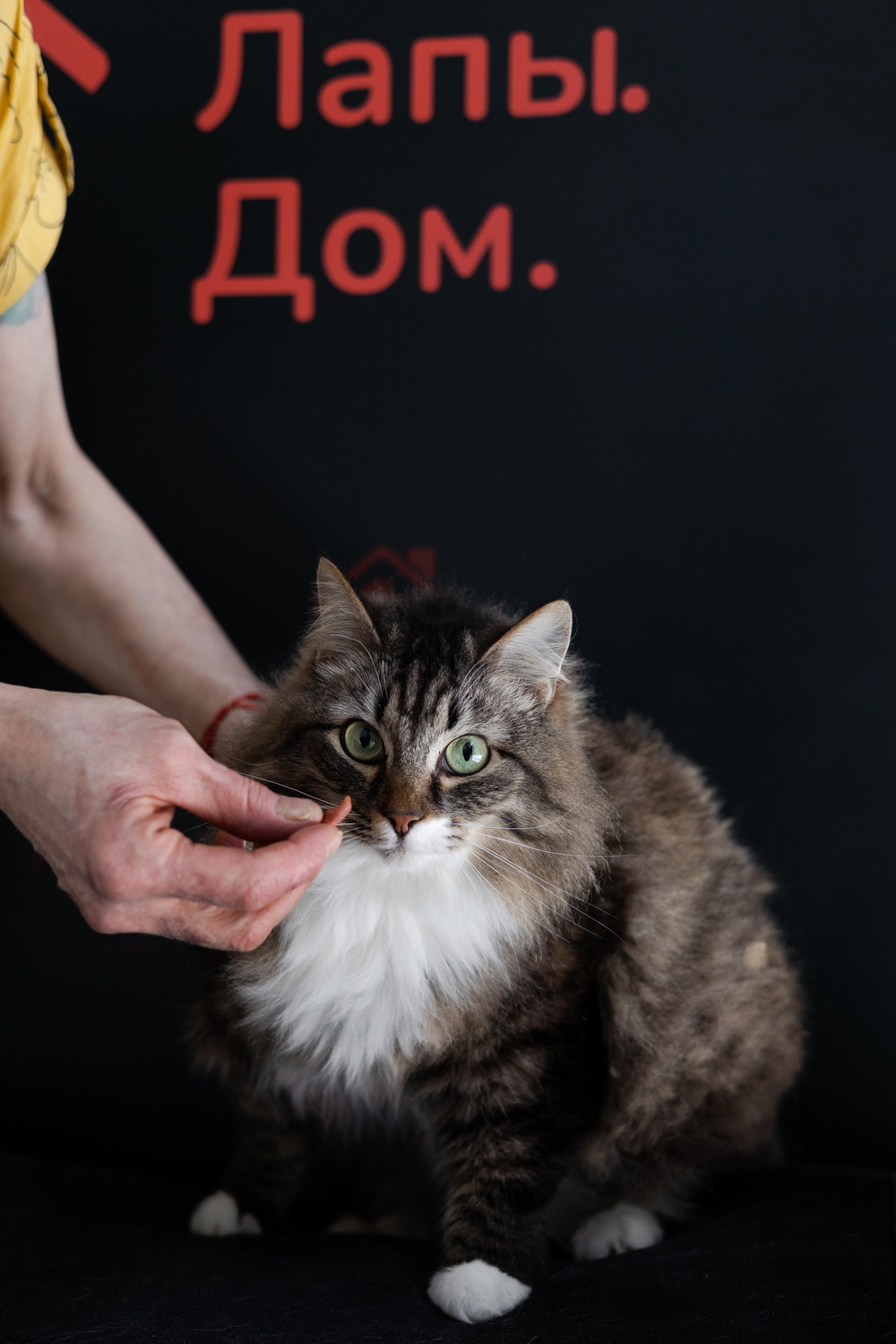 ph: Елена Тимофеева