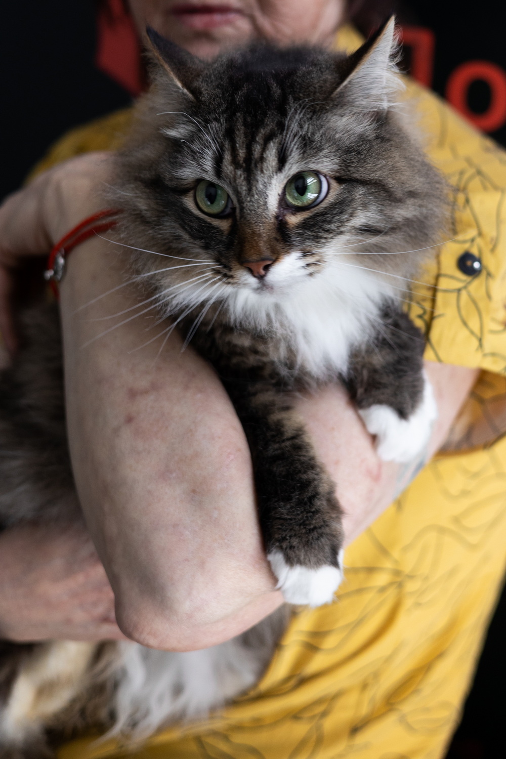 ph: Елена Тимофеева